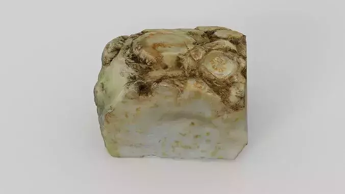 Root Celery 3D model