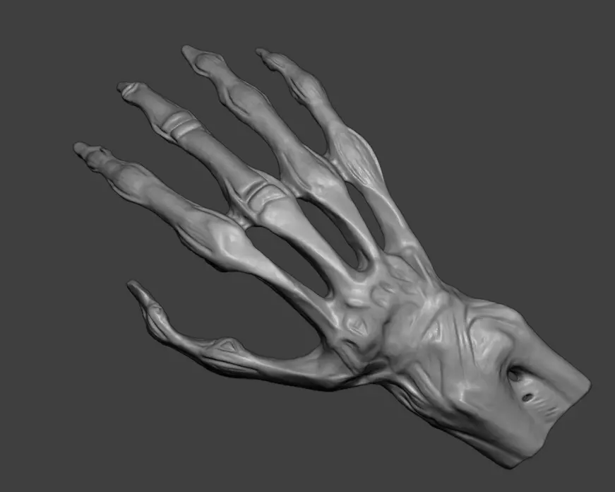Human Hand Anatomy 3D print model