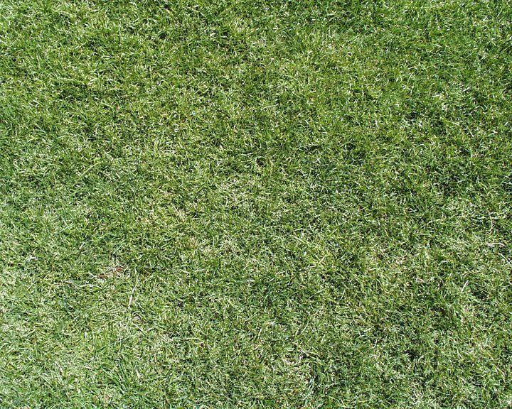 House DEsign 3D model_2