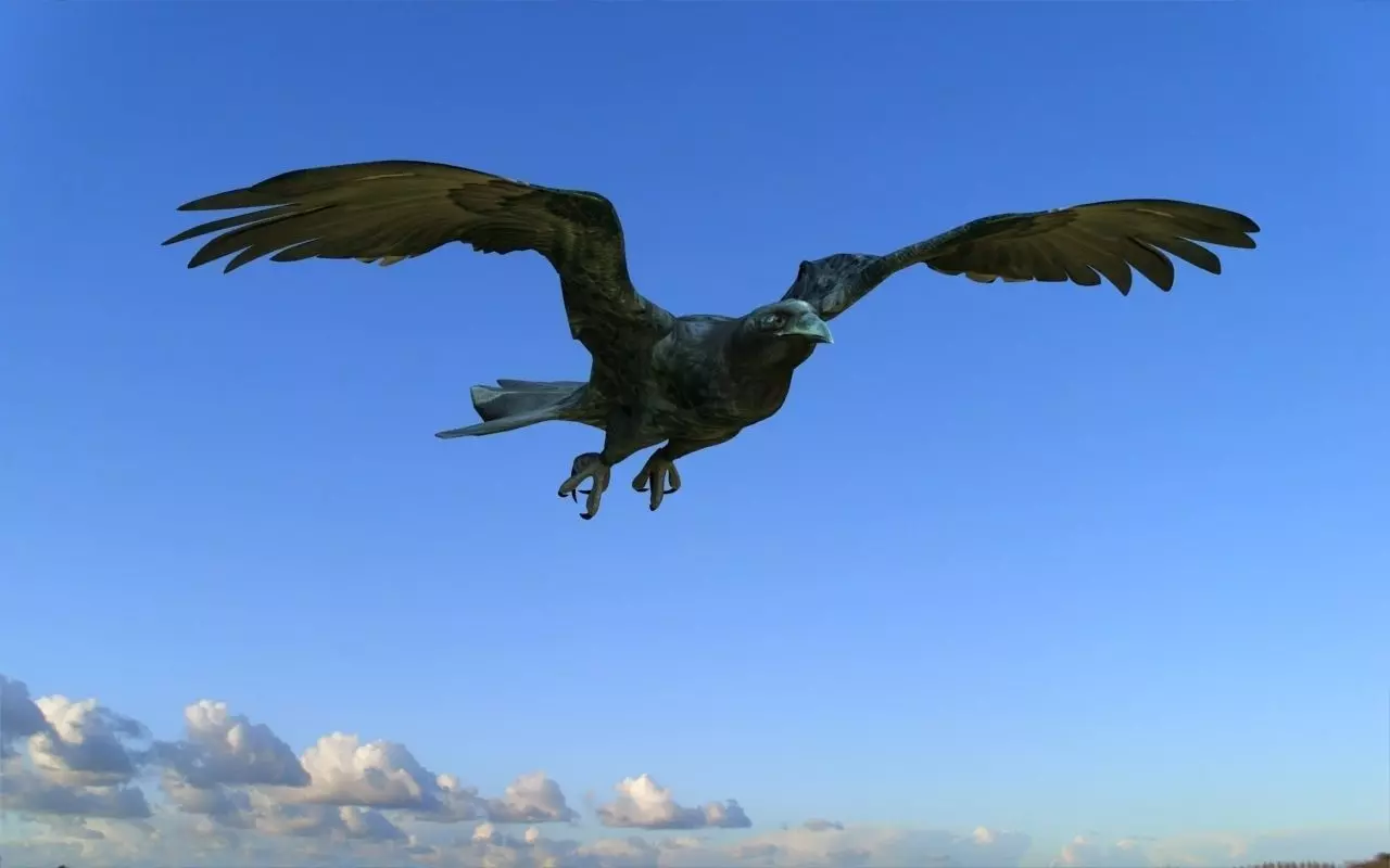 Crow modeling and rigged For 3d max Low-poly 3D model_0