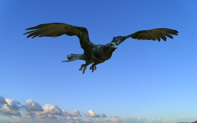 Crow modeling and rigged For 3d max Low-poly 3D model