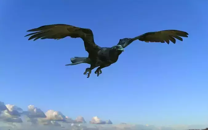 Crow modeling and rigged For 3d max Low-poly 3D model