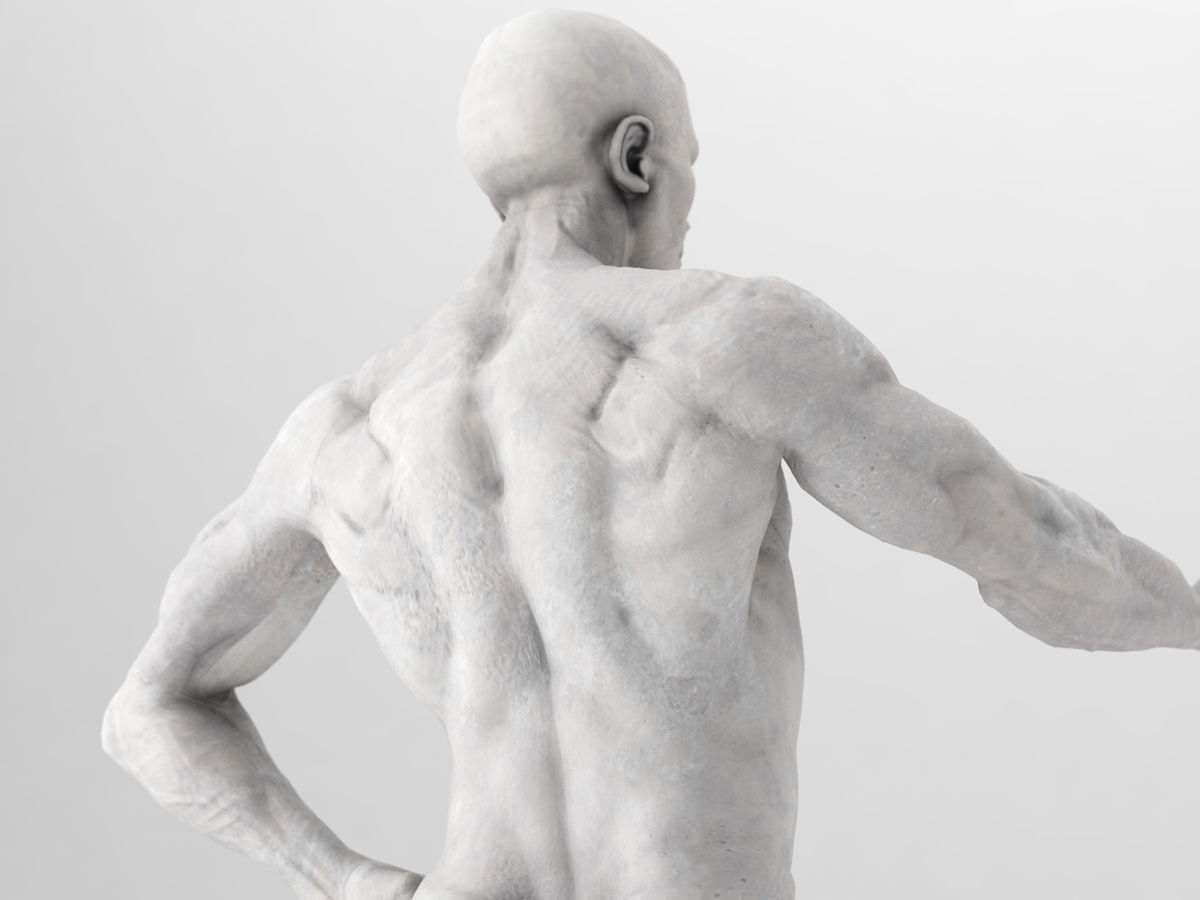 human body Free 3D model_4