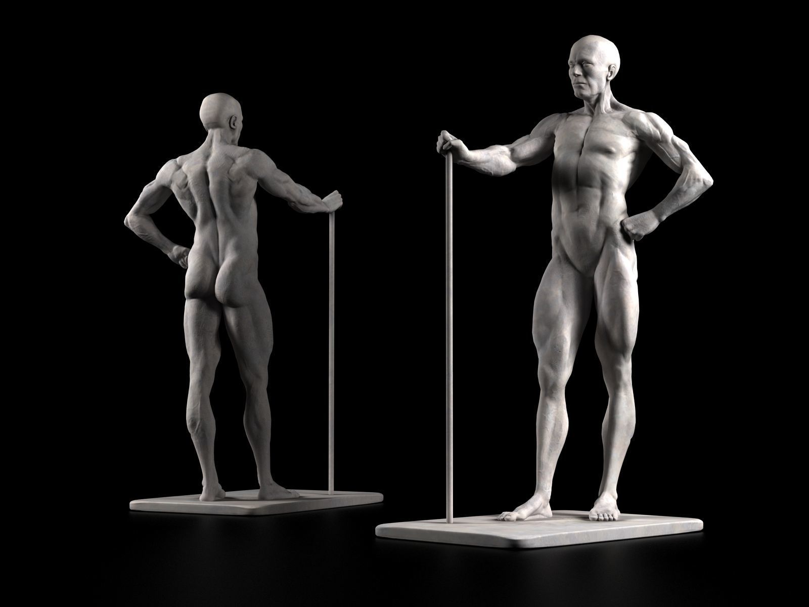 human body Free 3D model_2