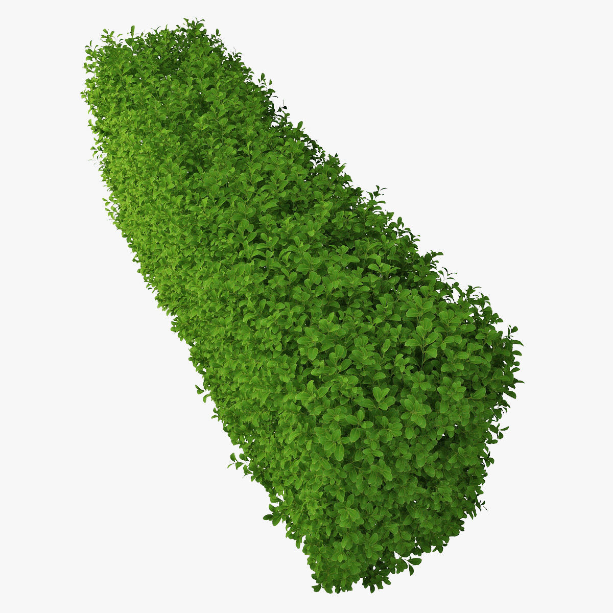 Hedge 02 3D model_3