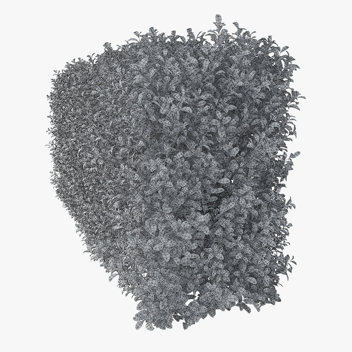 Hedge 02 3D model_5
