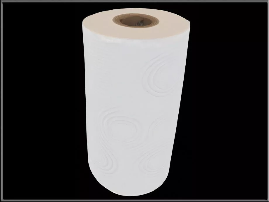 Household Roll Paper Towel Low-poly 3D model