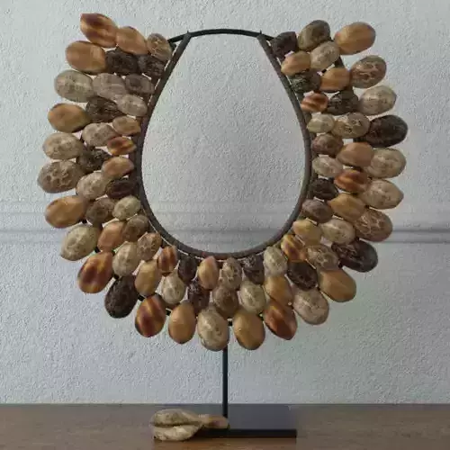 Native shell decor