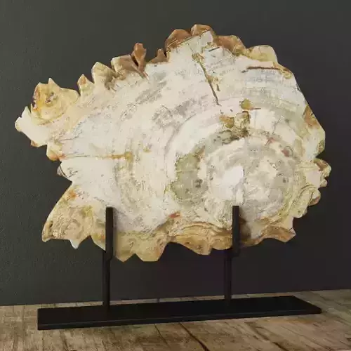 Petrified Wood On Stand 3D model