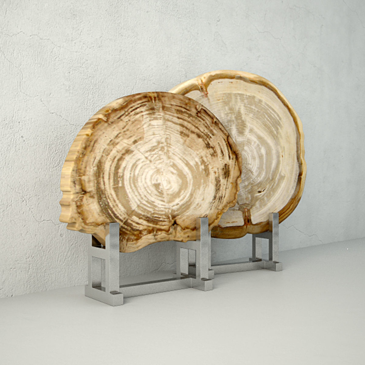 White Petrified Wood Slices 3D model_3