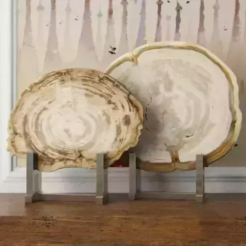 White Petrified Wood Slices 3D model