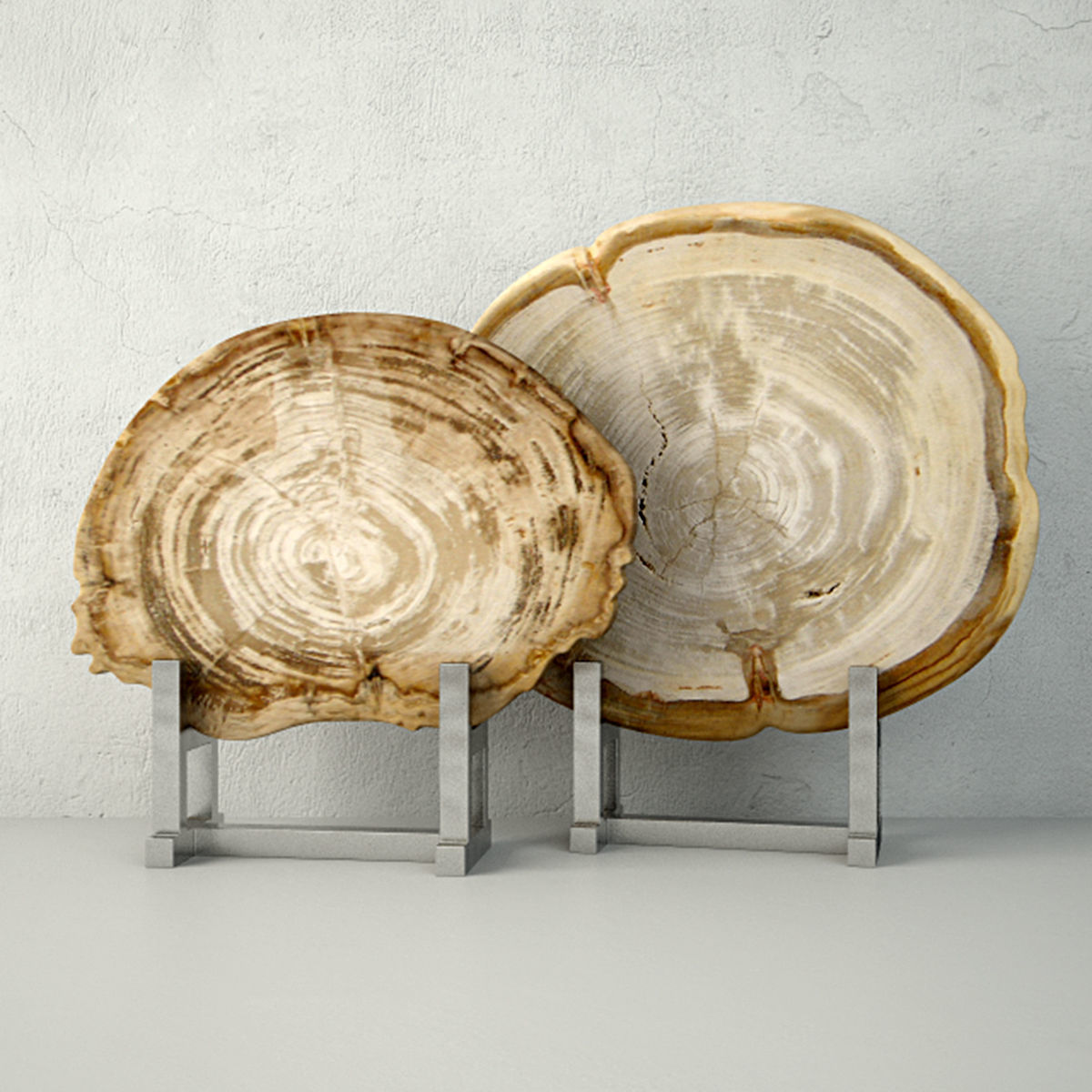 White Petrified Wood Slices 3D model_1
