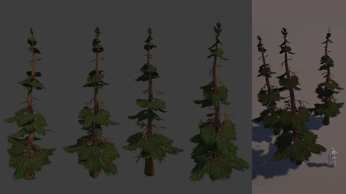 Stylized Handpainted Pine Tree Low-poly 3D model
