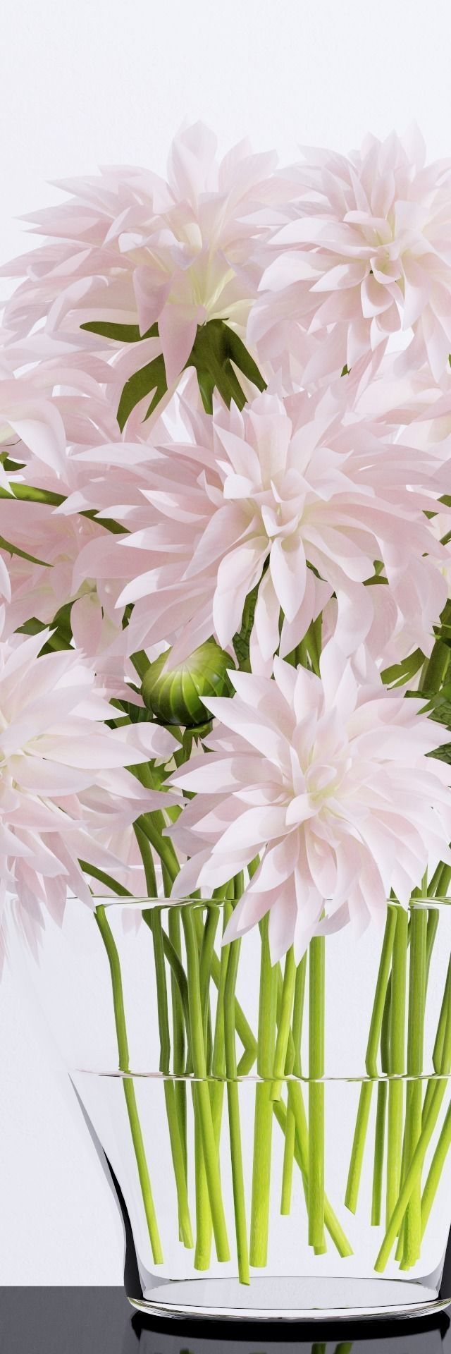 Bouquet 3 dahlias in glass vase 3D model_1