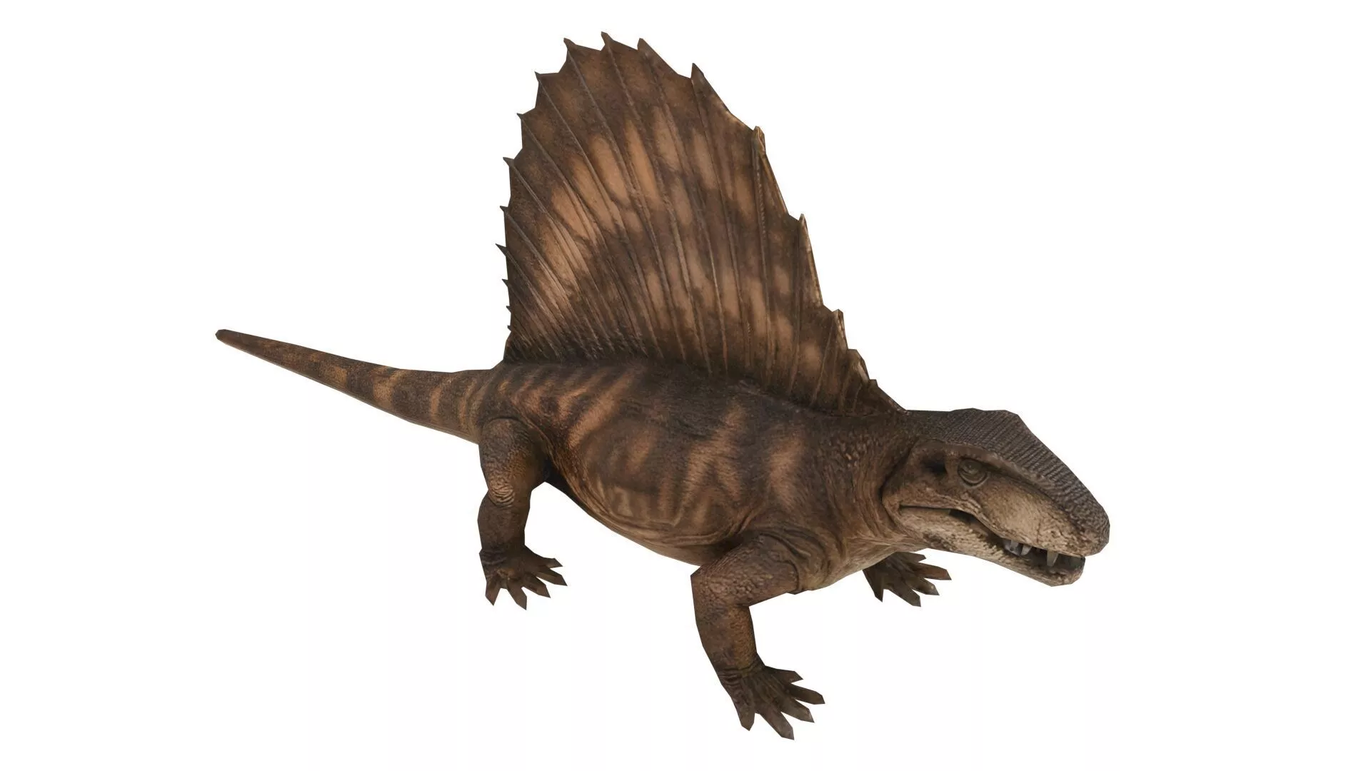 Dimetrodon Low-poly 3D model