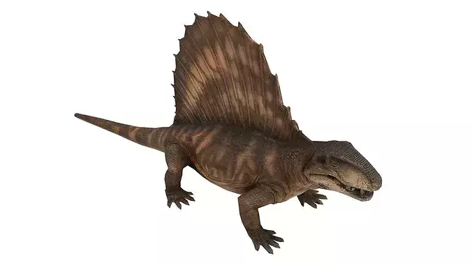 Dimetrodon