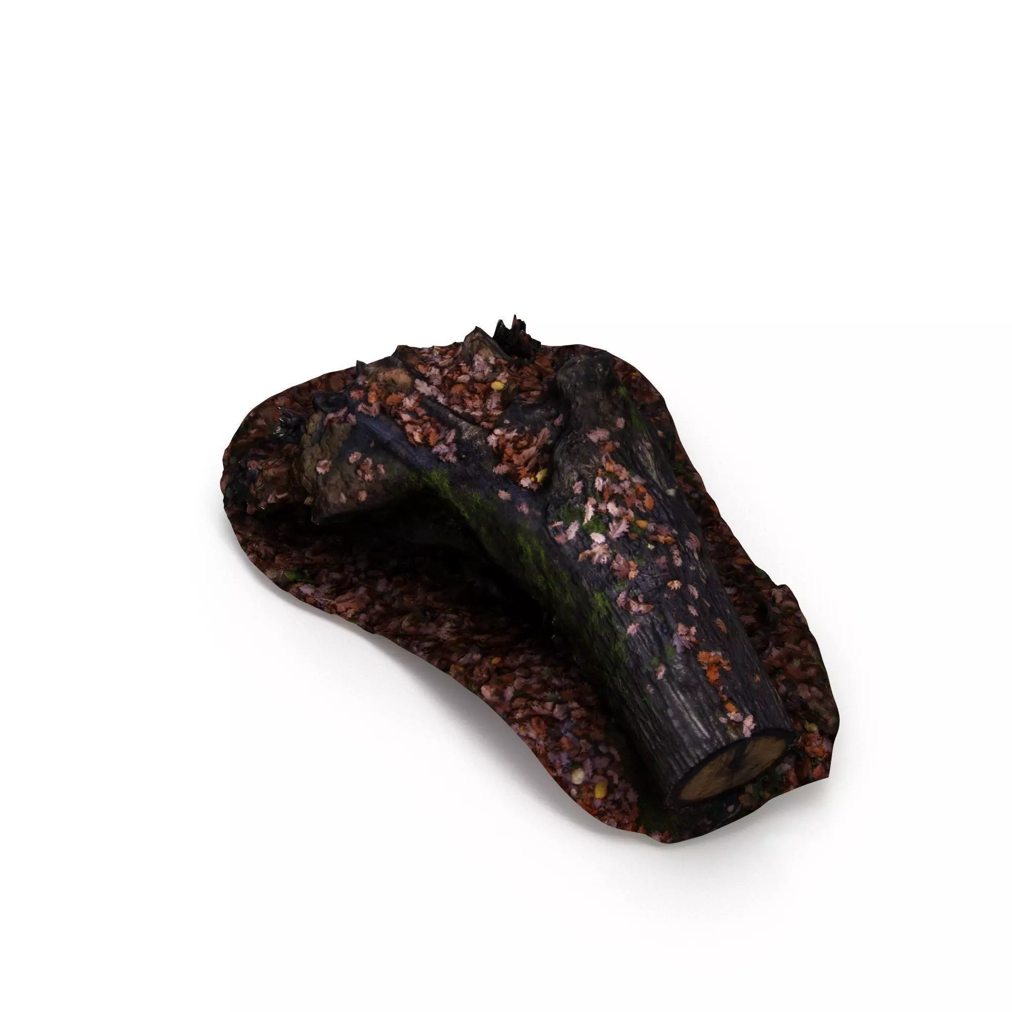 Big Tree Fall - High and Low Polygon Versions Low-poly 3D model_0