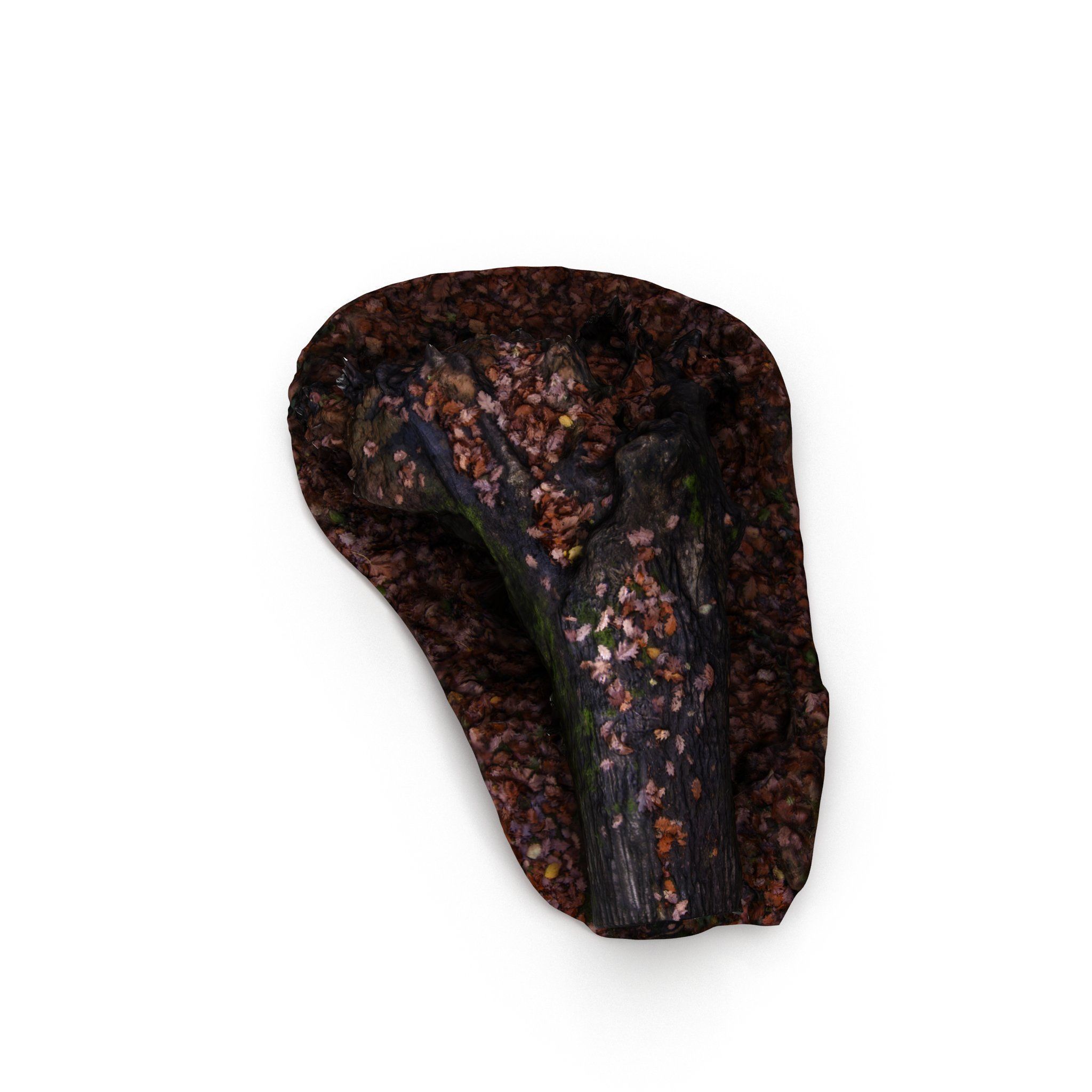 Big Tree Fall - High and Low Polygon Versions Low-poly 3D model_8