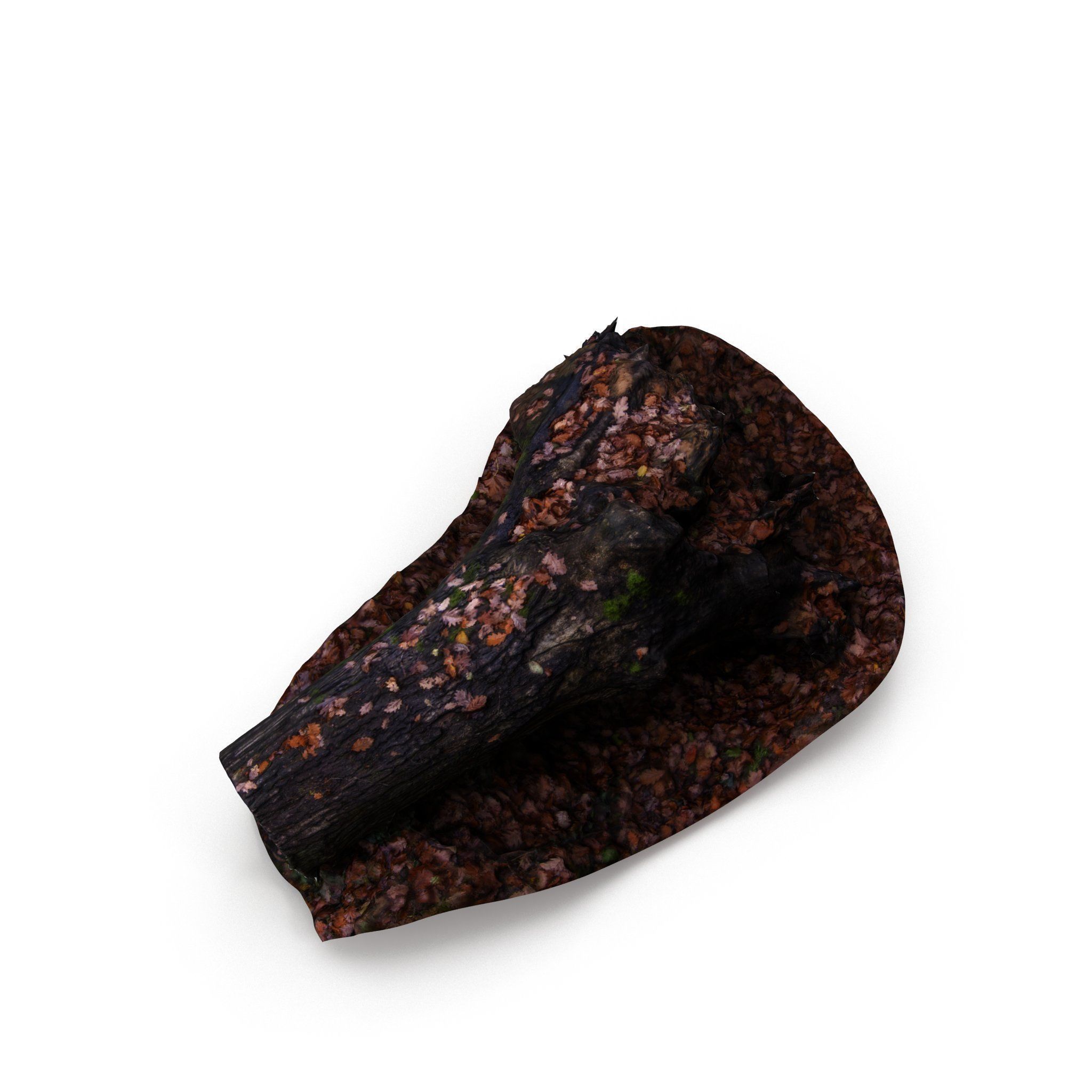 Big Tree Fall - High and Low Polygon Versions Low-poly 3D model_7