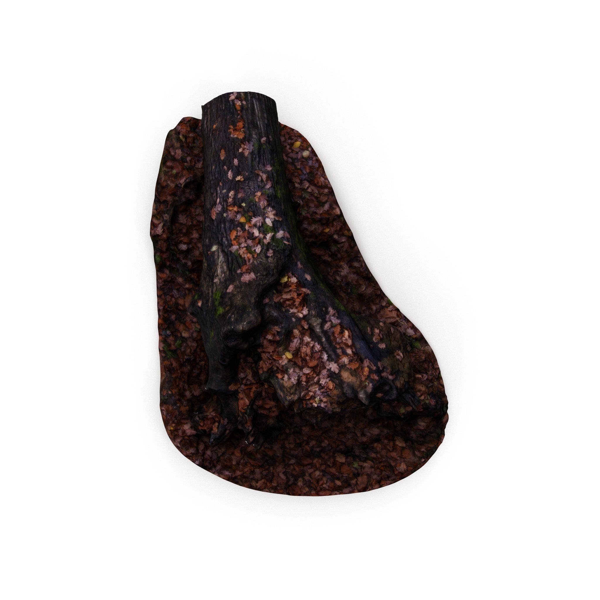 Big Tree Fall - High and Low Polygon Versions Low-poly 3D model_2