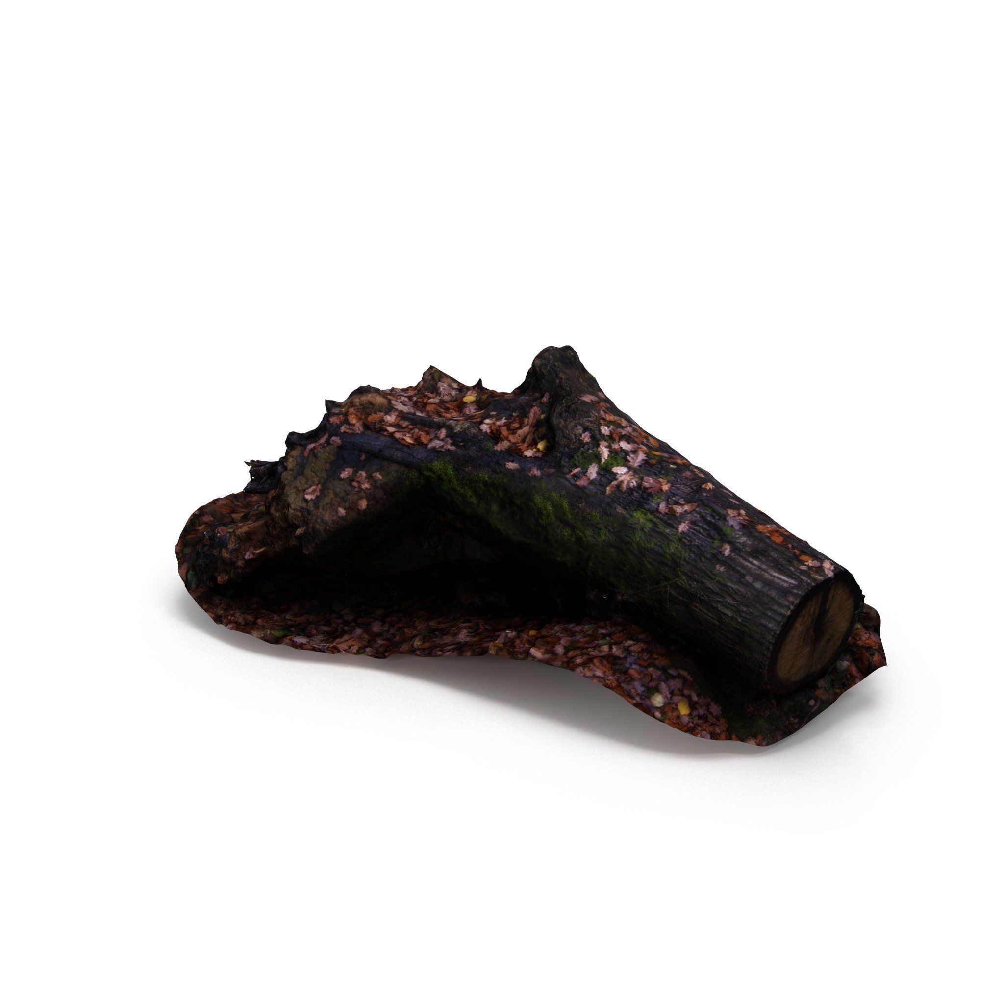 Big Tree Fall - High and Low Polygon Versions Low-poly 3D model_13