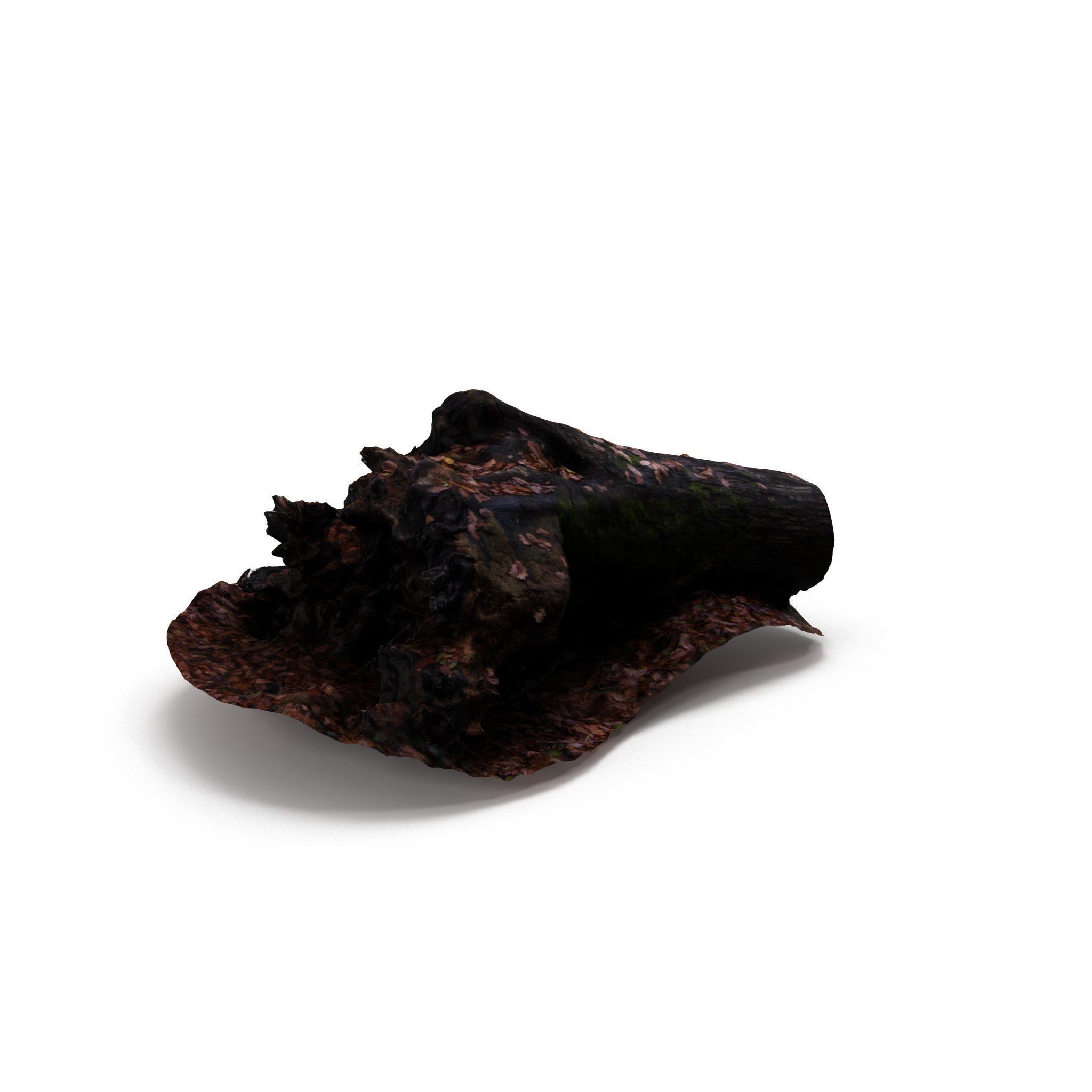 Big Tree Fall - High and Low Polygon Versions Low-poly 3D model_16