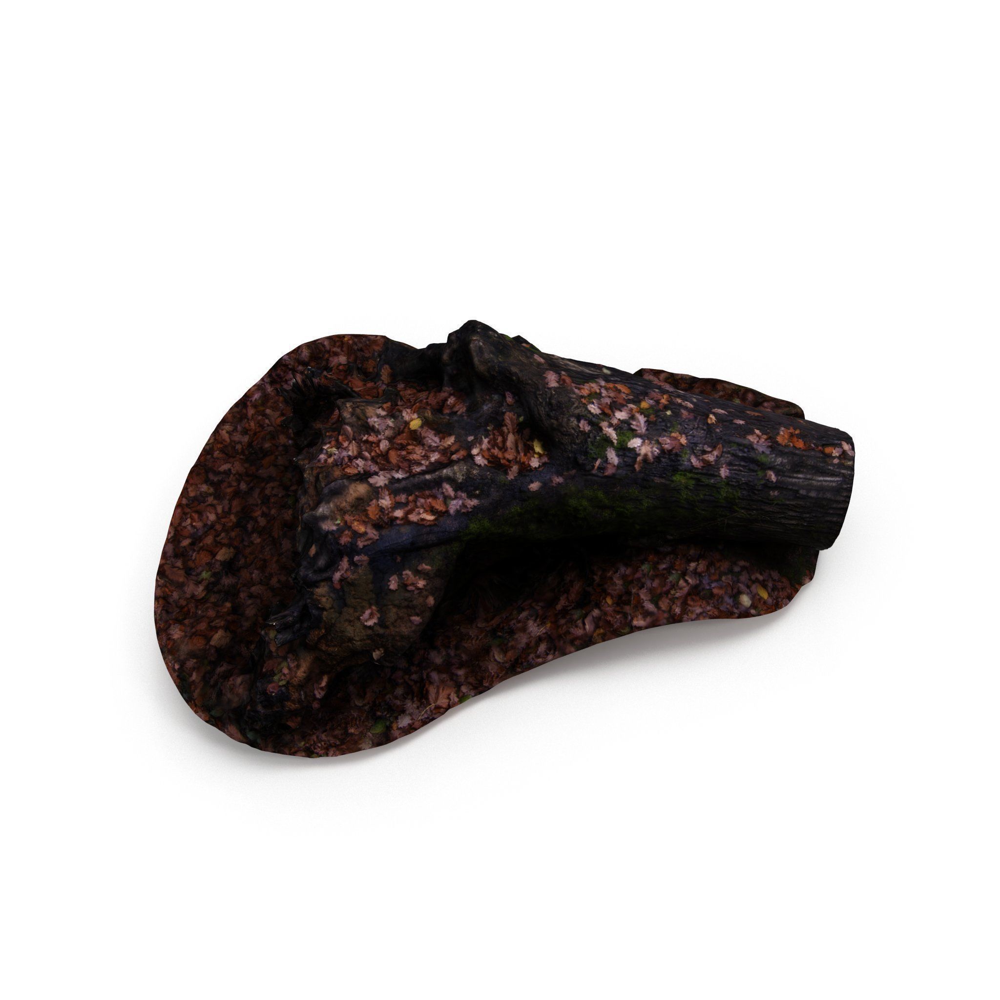 Big Tree Fall - High and Low Polygon Versions Low-poly 3D model_4