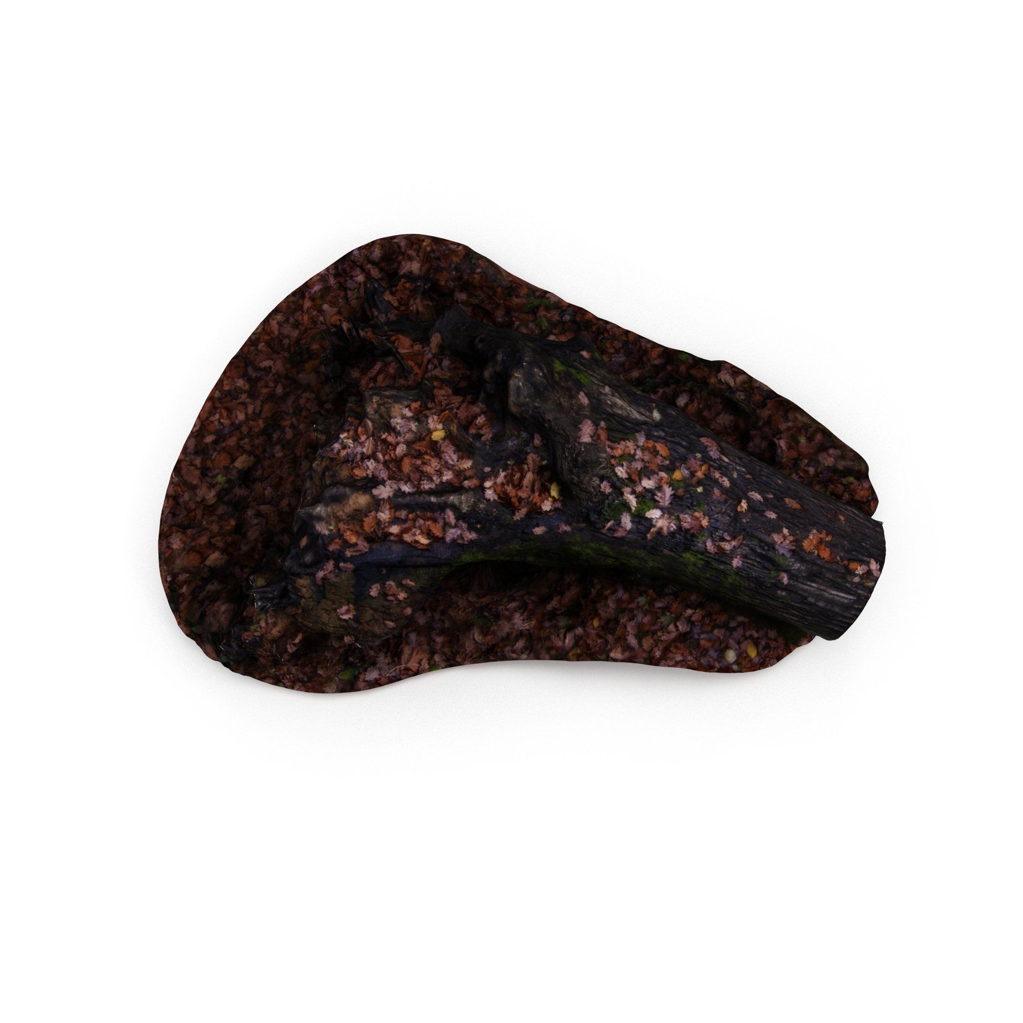 Big Tree Fall - High and Low Polygon Versions Low-poly 3D model_1