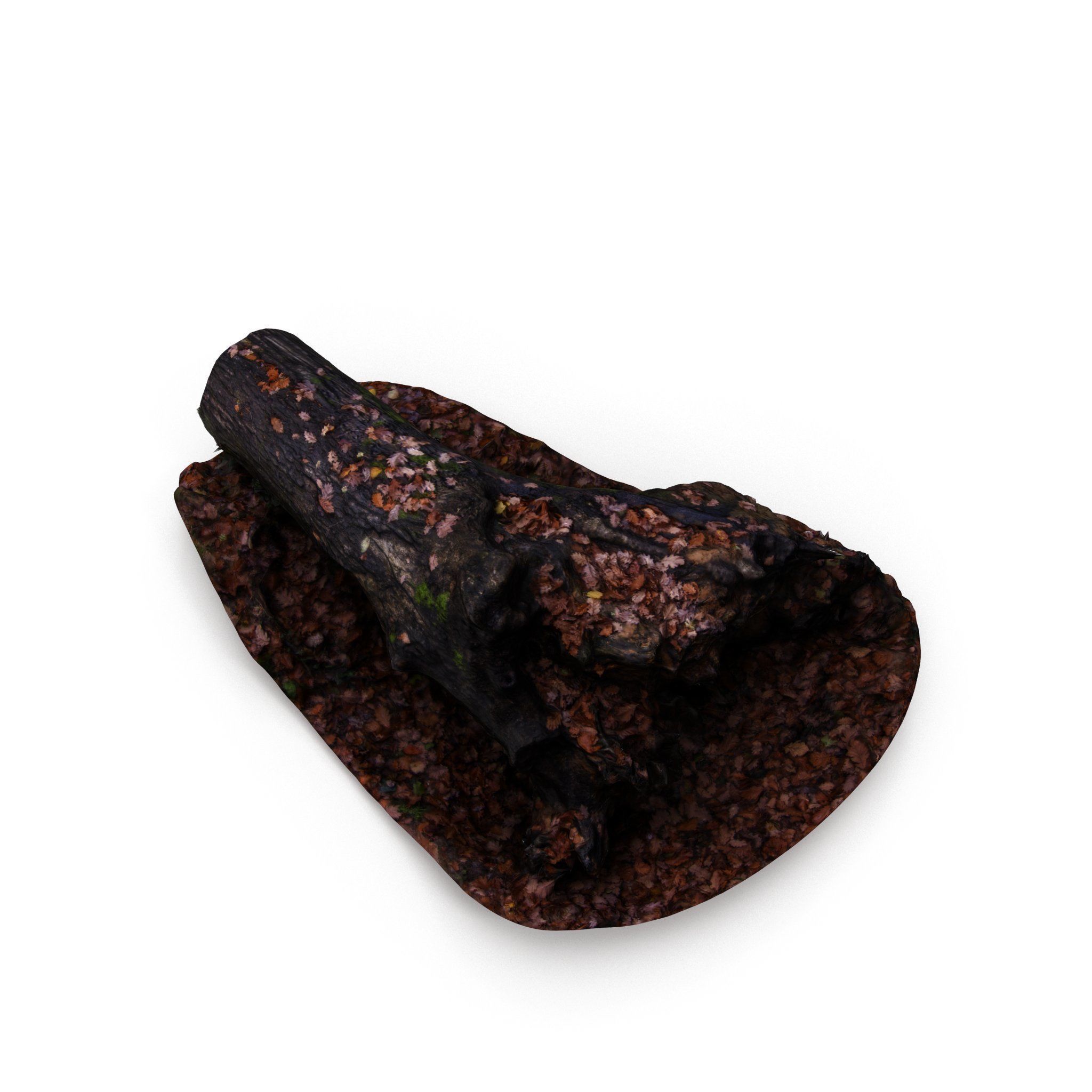 Big Tree Fall - High and Low Polygon Versions Low-poly 3D model_5