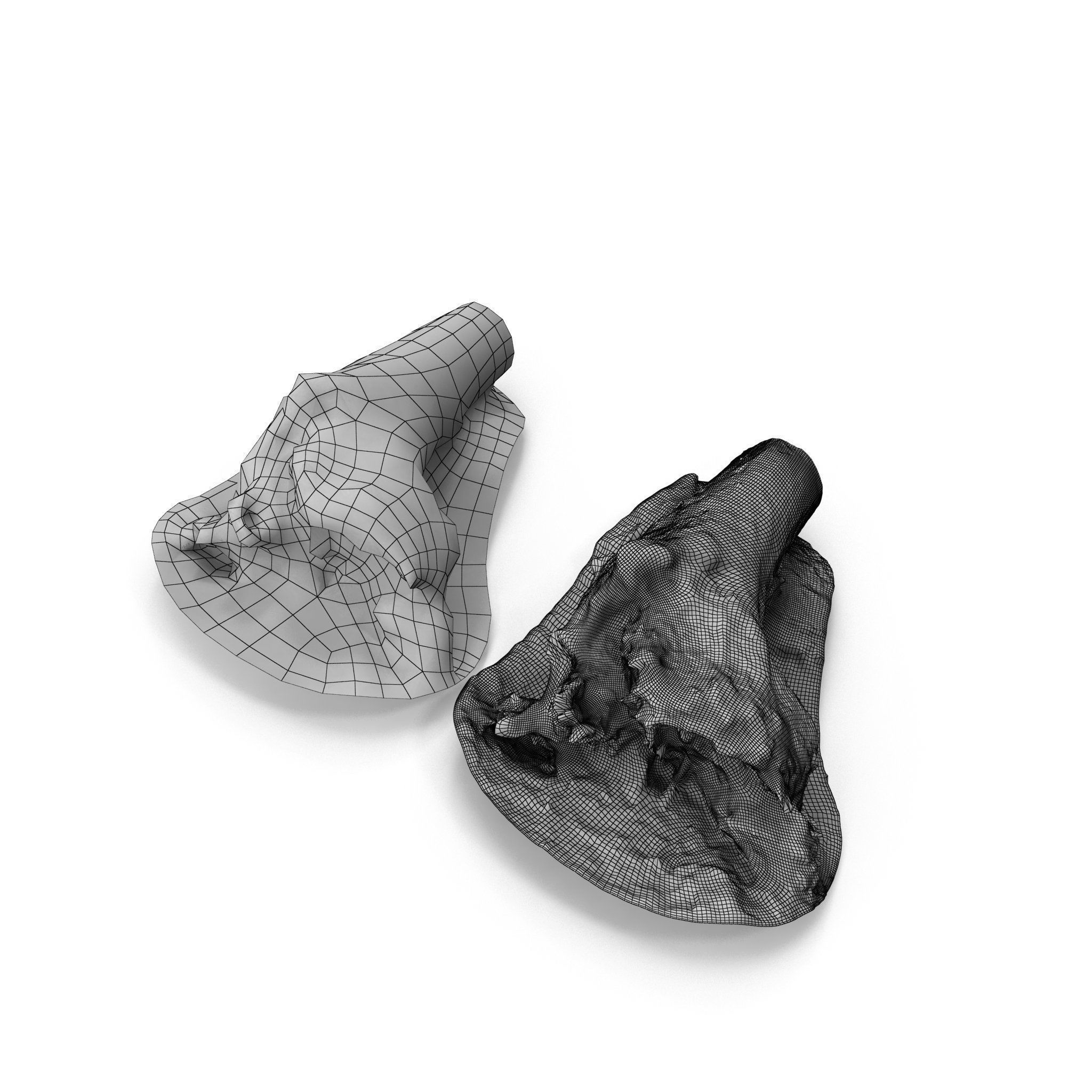 Big Tree Fall - High and Low Polygon Versions Low-poly 3D model_22