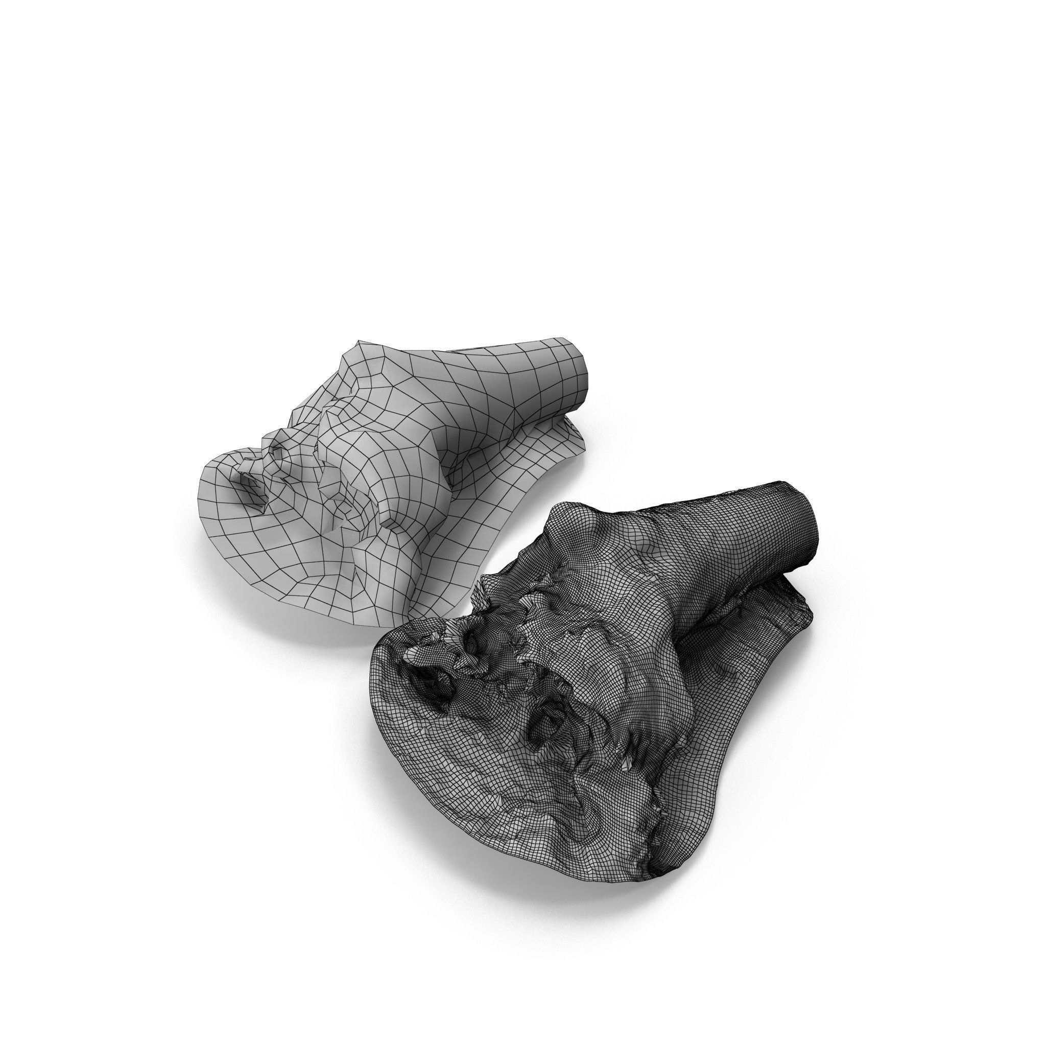 Big Tree Fall - High and Low Polygon Versions Low-poly 3D model_25