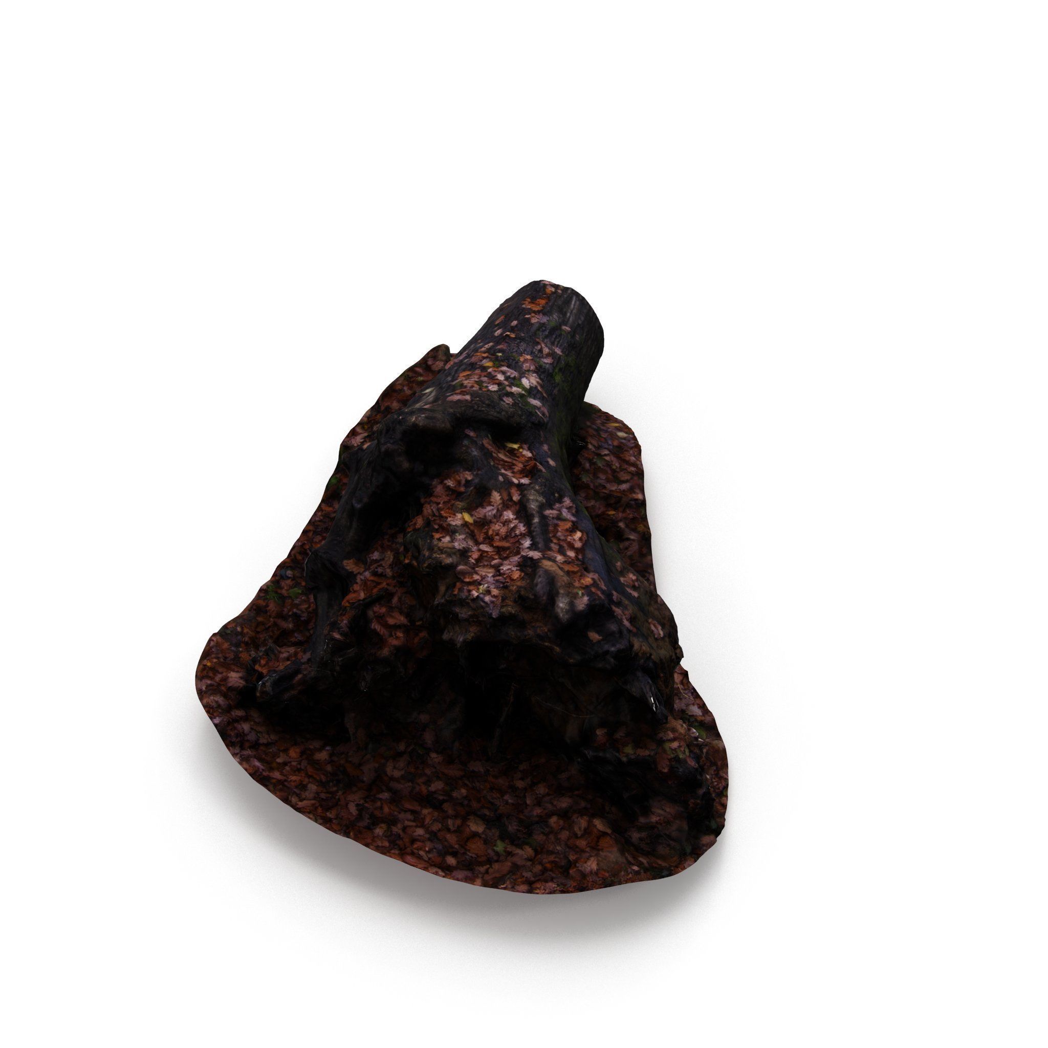 Big Tree Fall - High and Low Polygon Versions Low-poly 3D model_6