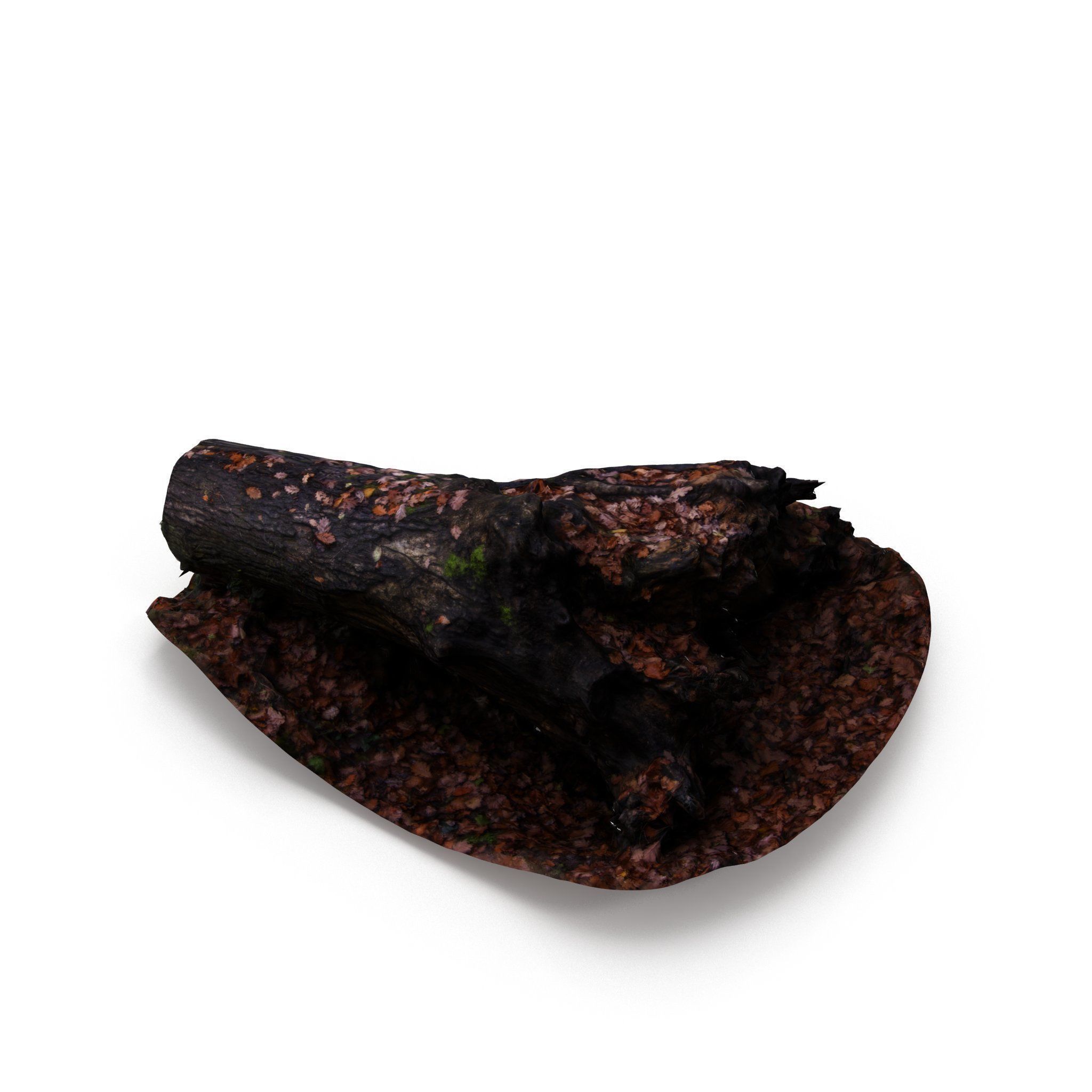 Big Tree Fall - High and Low Polygon Versions Low-poly 3D model_9