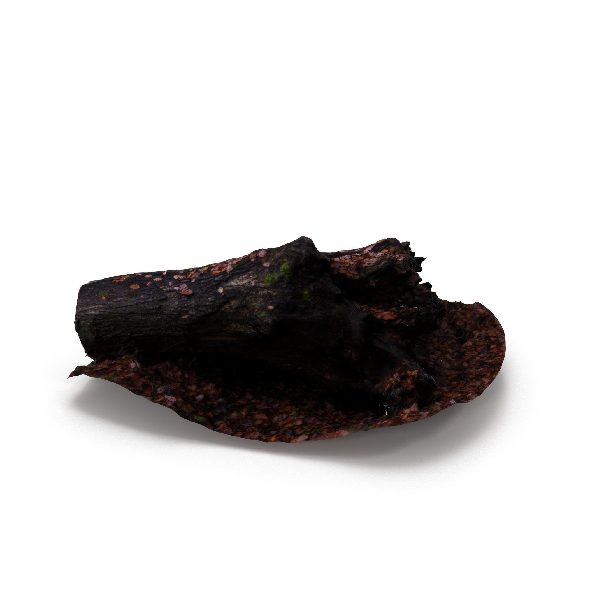 Big Tree Fall - High and Low Polygon Versions Low-poly 3D model_14