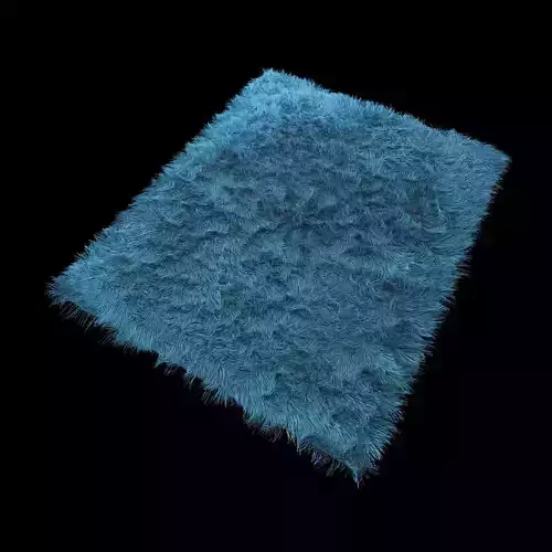 Carpet shaggy rug