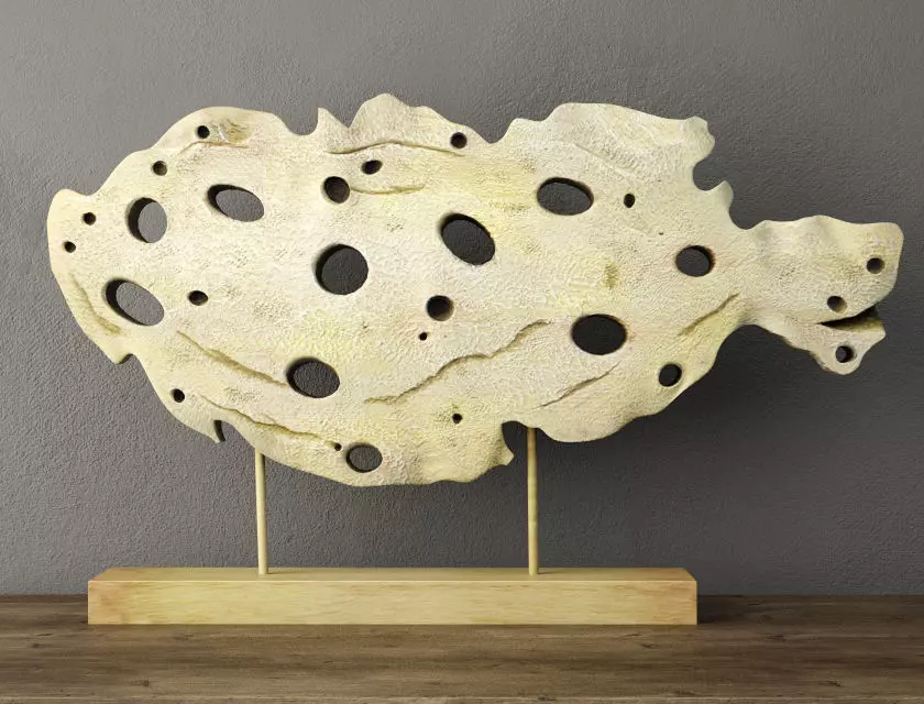 Cutout Fish Decor 3D model_0