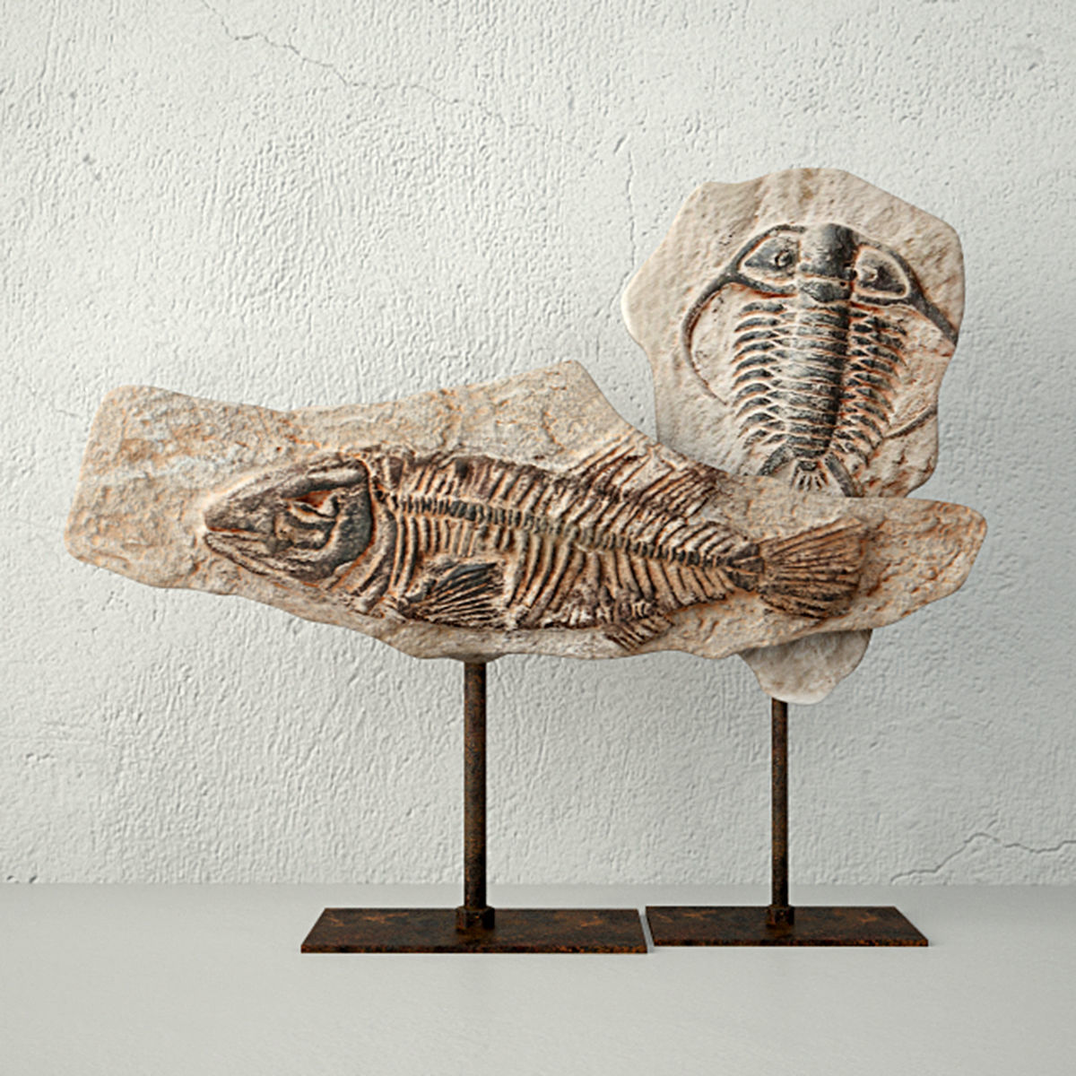 Fossils on Stand 3D model_1