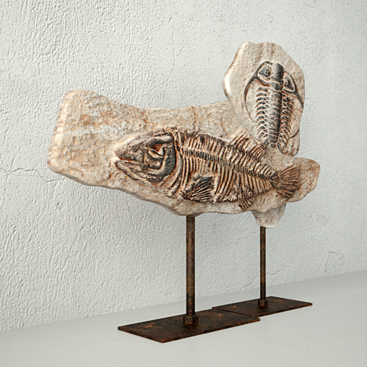 Fossils on Stand 3D model_3