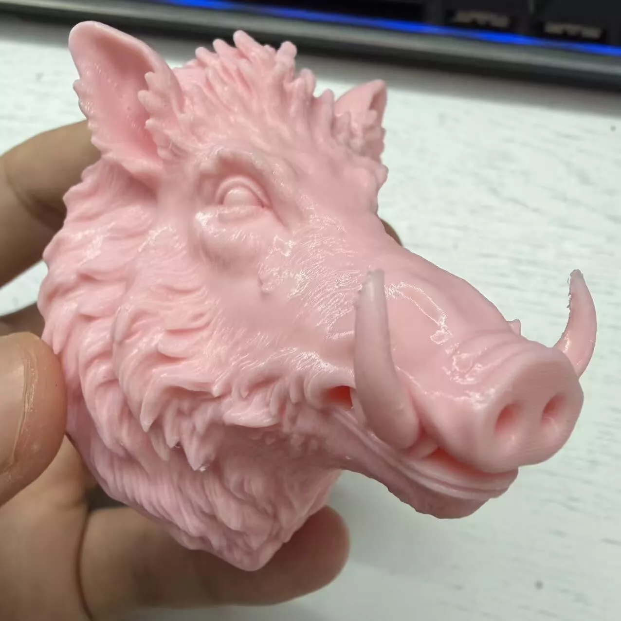 wild boar 3D print model