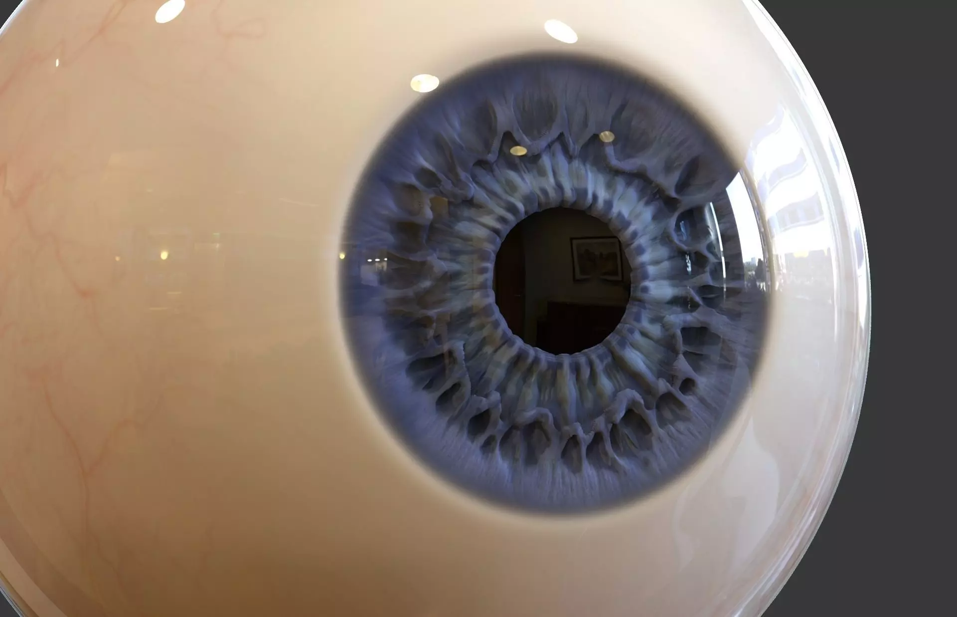 Human Eye 3D model
