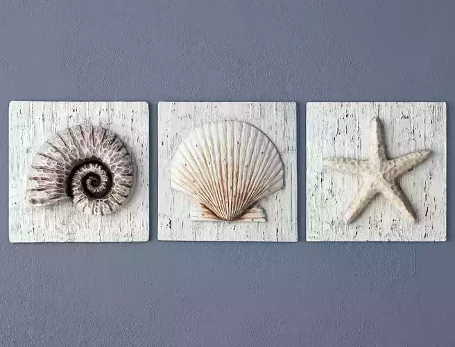 Nautilus Seashell and Starfish Plaques 3D model