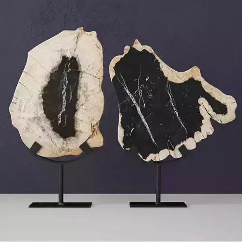 Petrified Wood Slices On Stand 3D model