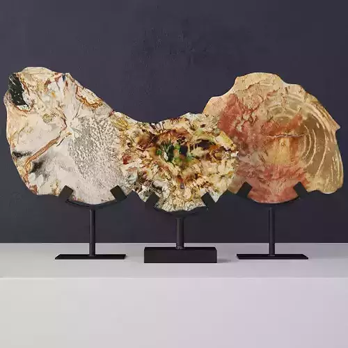 Petrified Wood Slices On Stand 2 3D model