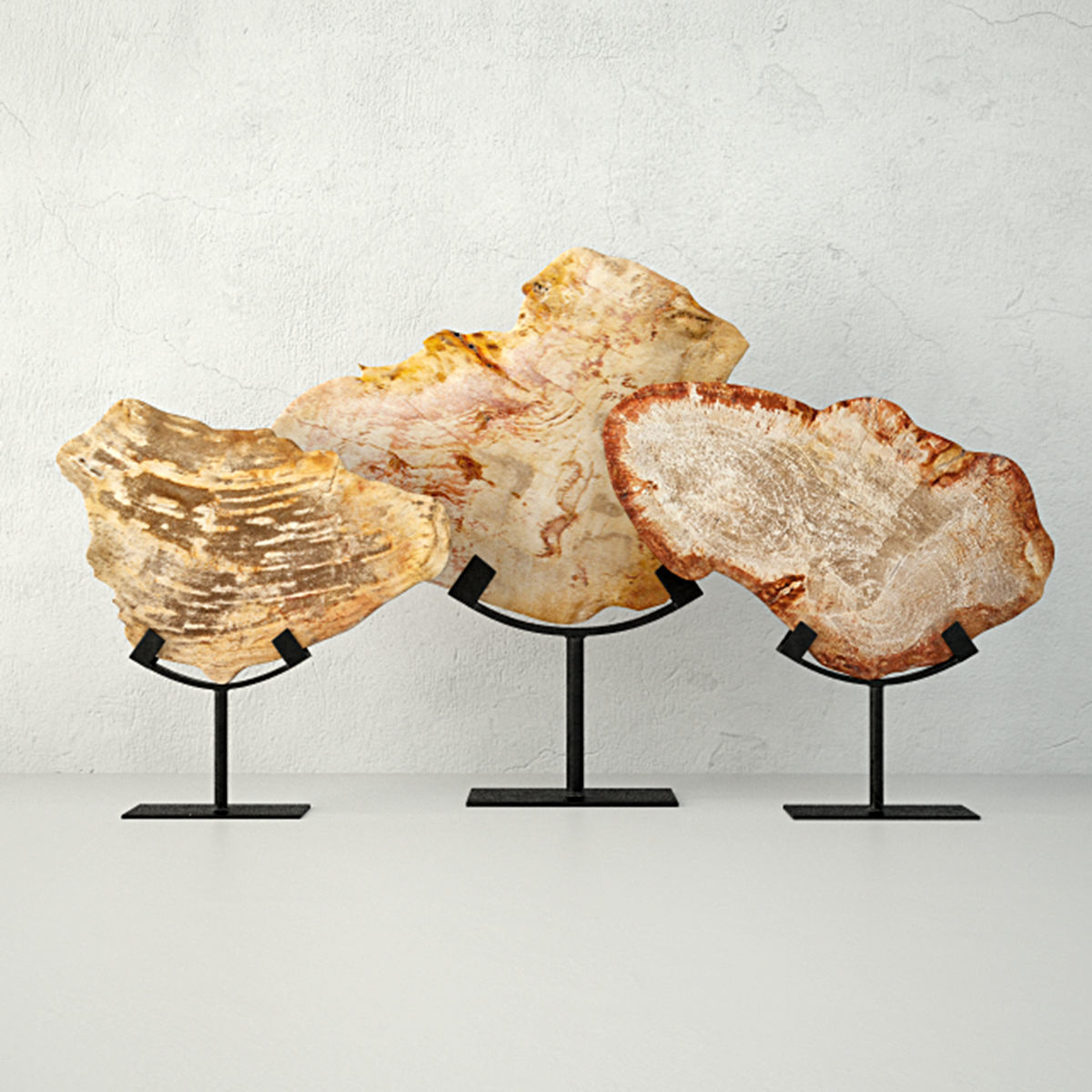 Petrified Wood Slices On Stand 3 3D model_1