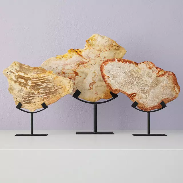 Petrified Wood Slices On Stand 3 3D model_0