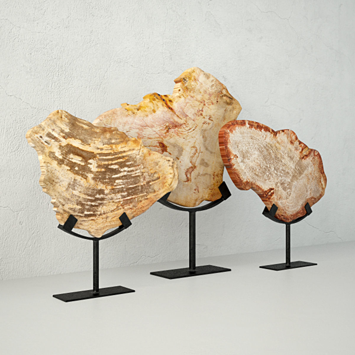 Petrified Wood Slices On Stand 3 3D model_3