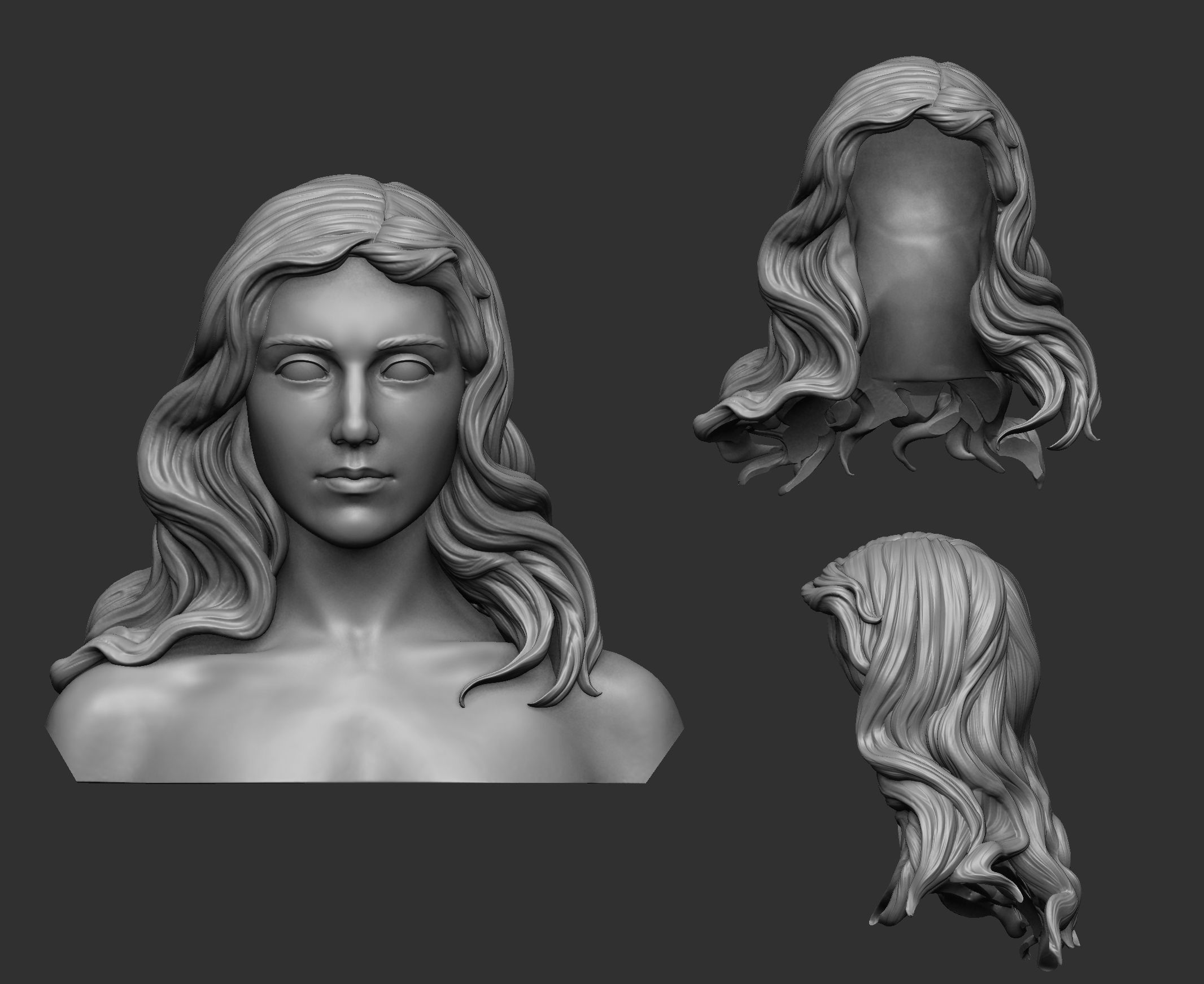 Hair 6 printable 3D print model_2