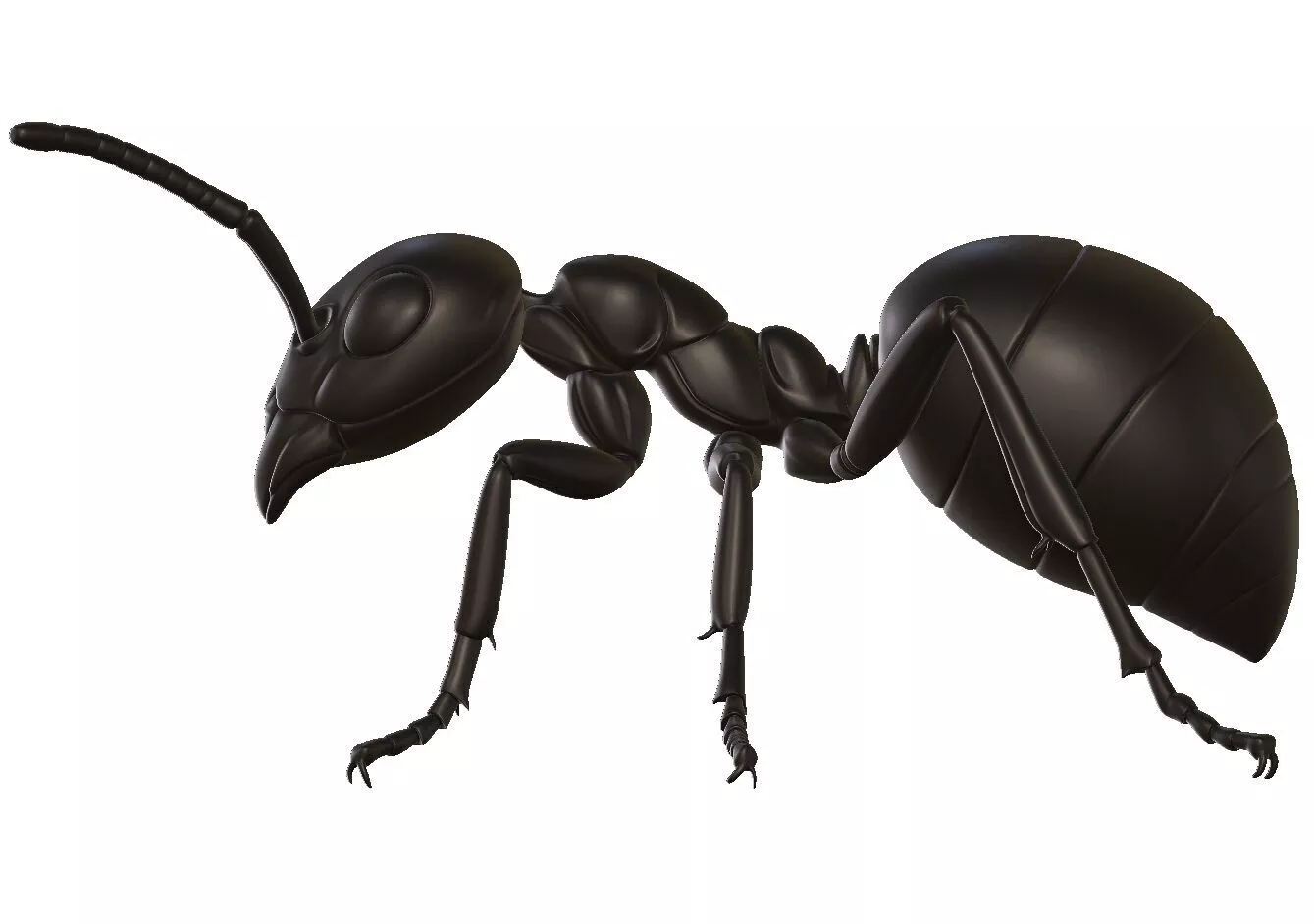 Hyper Realistic Ant 3D Model High Detail Insect Sculpt 3D print model