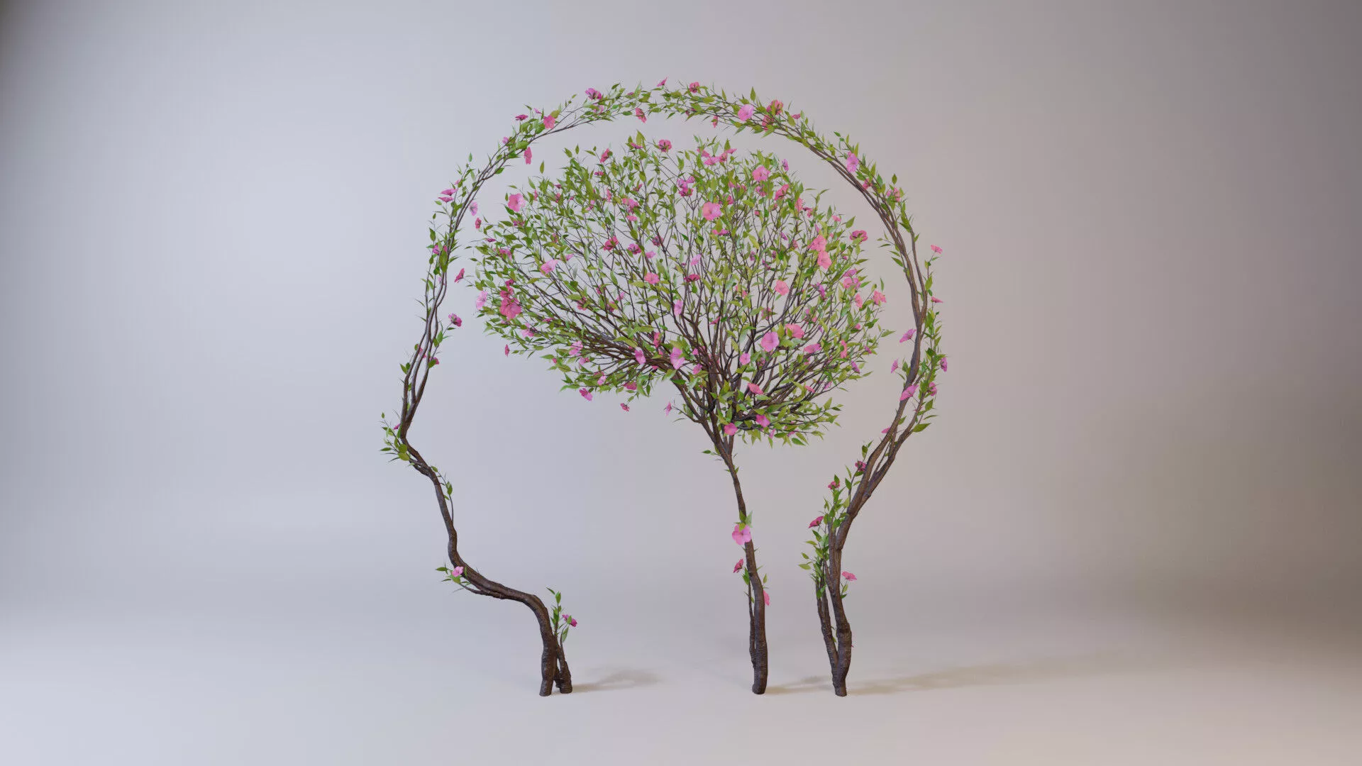 Growing Tree shaped as human brain animation 3D model
