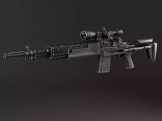 M14 EBR sniper rifle